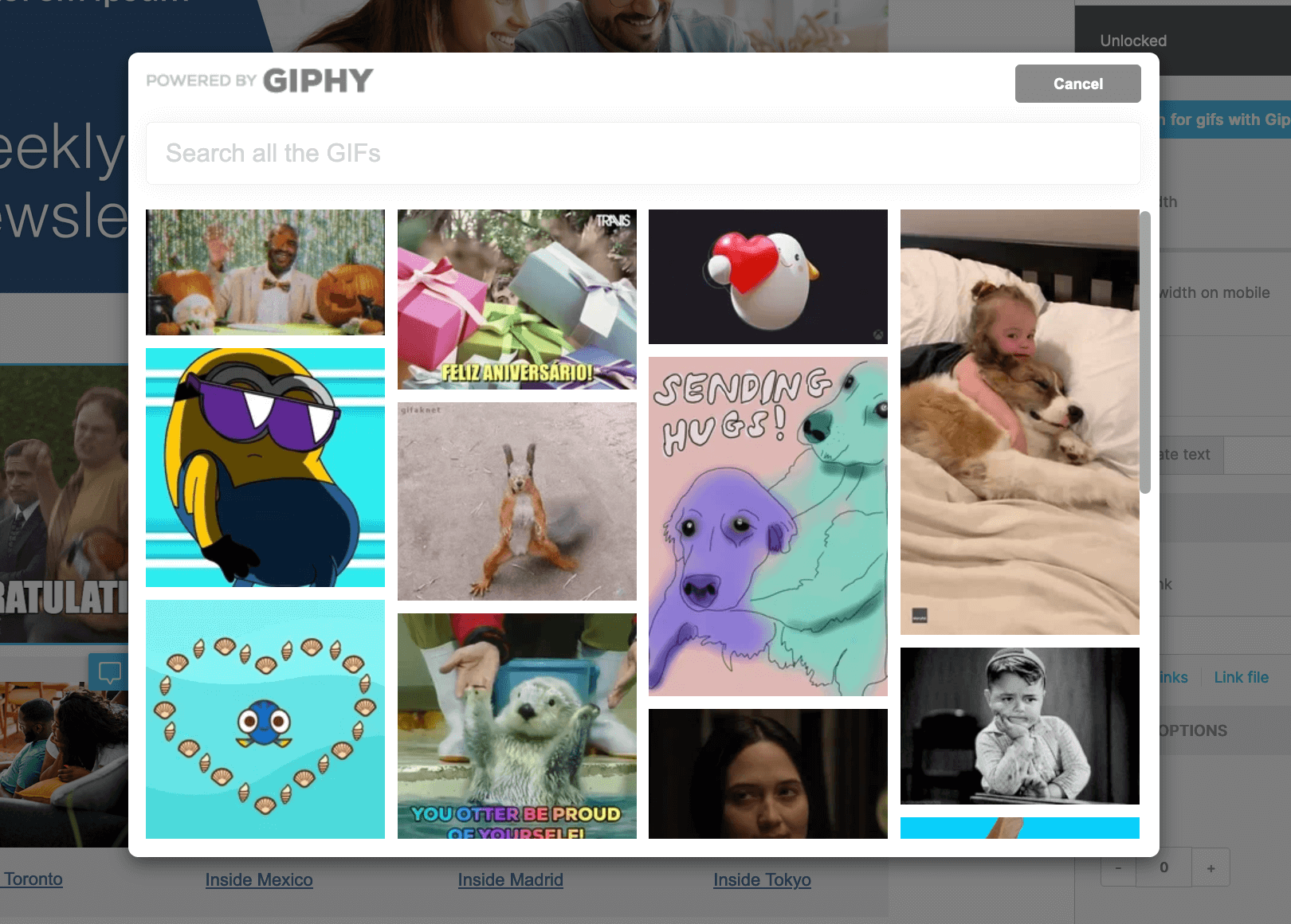 Image of GIPHY library within ContactMonkey's email template builder