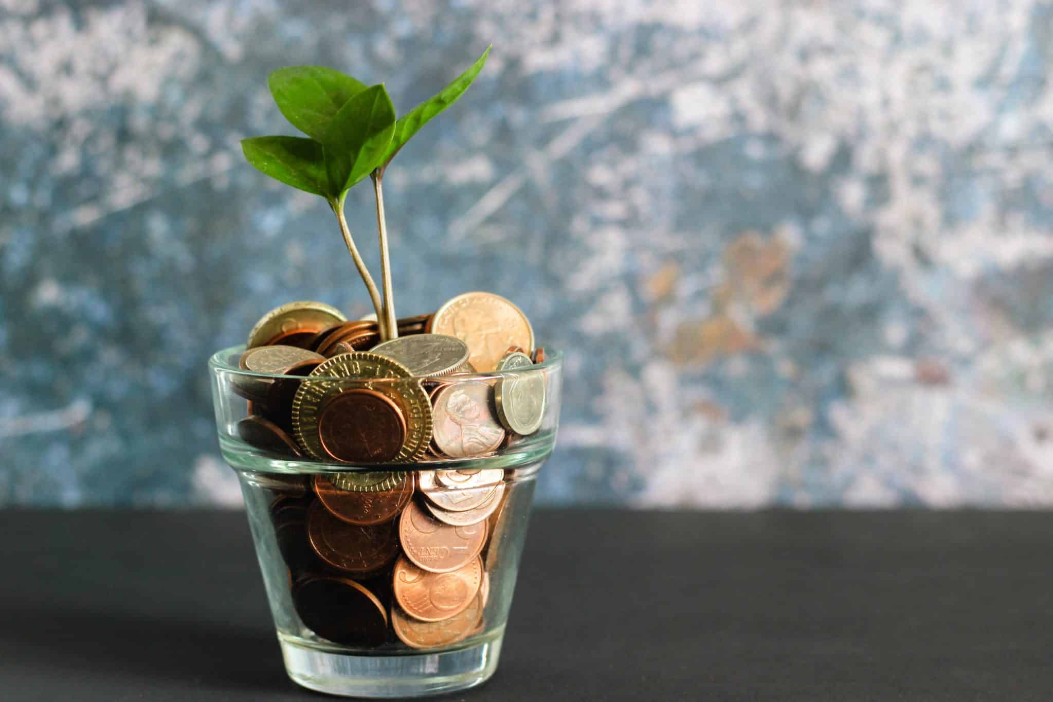 Coins in a flower pot
