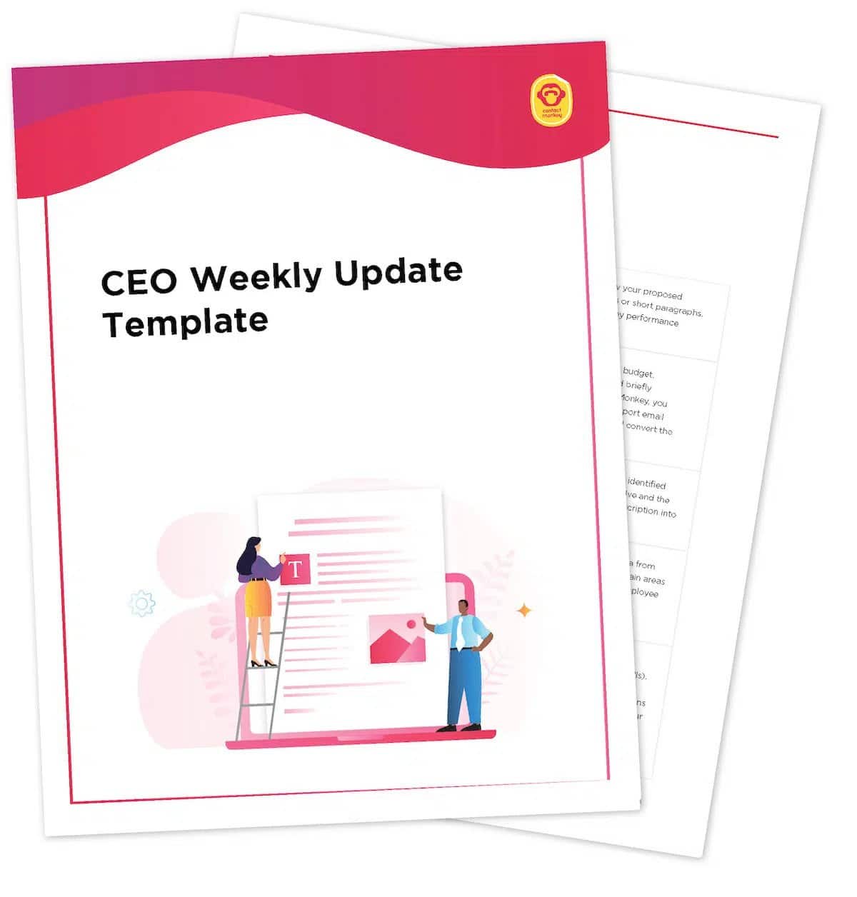 CEO Weekly Update Email