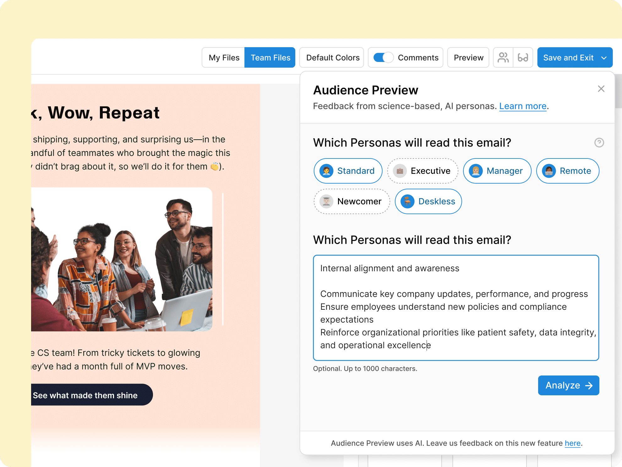 Audience Preview Interface
